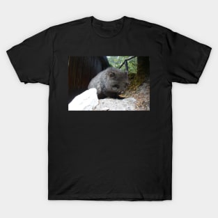 Cute Wombat T-Shirt